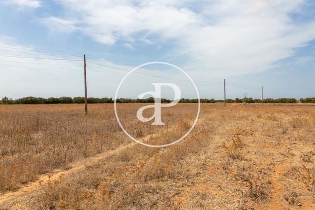 Mark till salu i Campos - 725 000 € (Ref: 9355860)