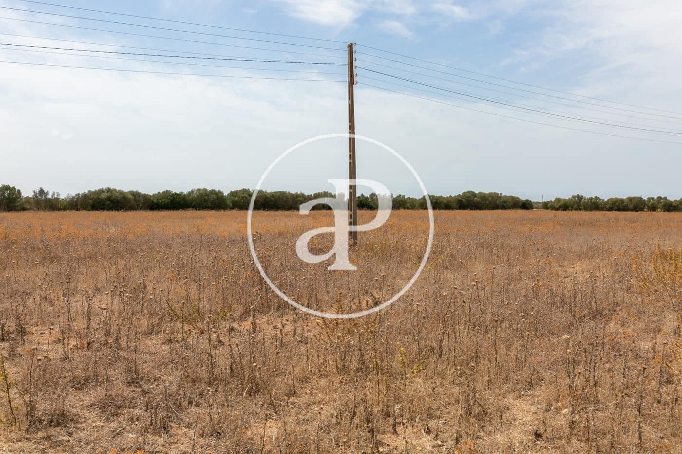 Rakentamaton maa myytävänä paikassa Campos - 725 000 € (Ref: 9355860)