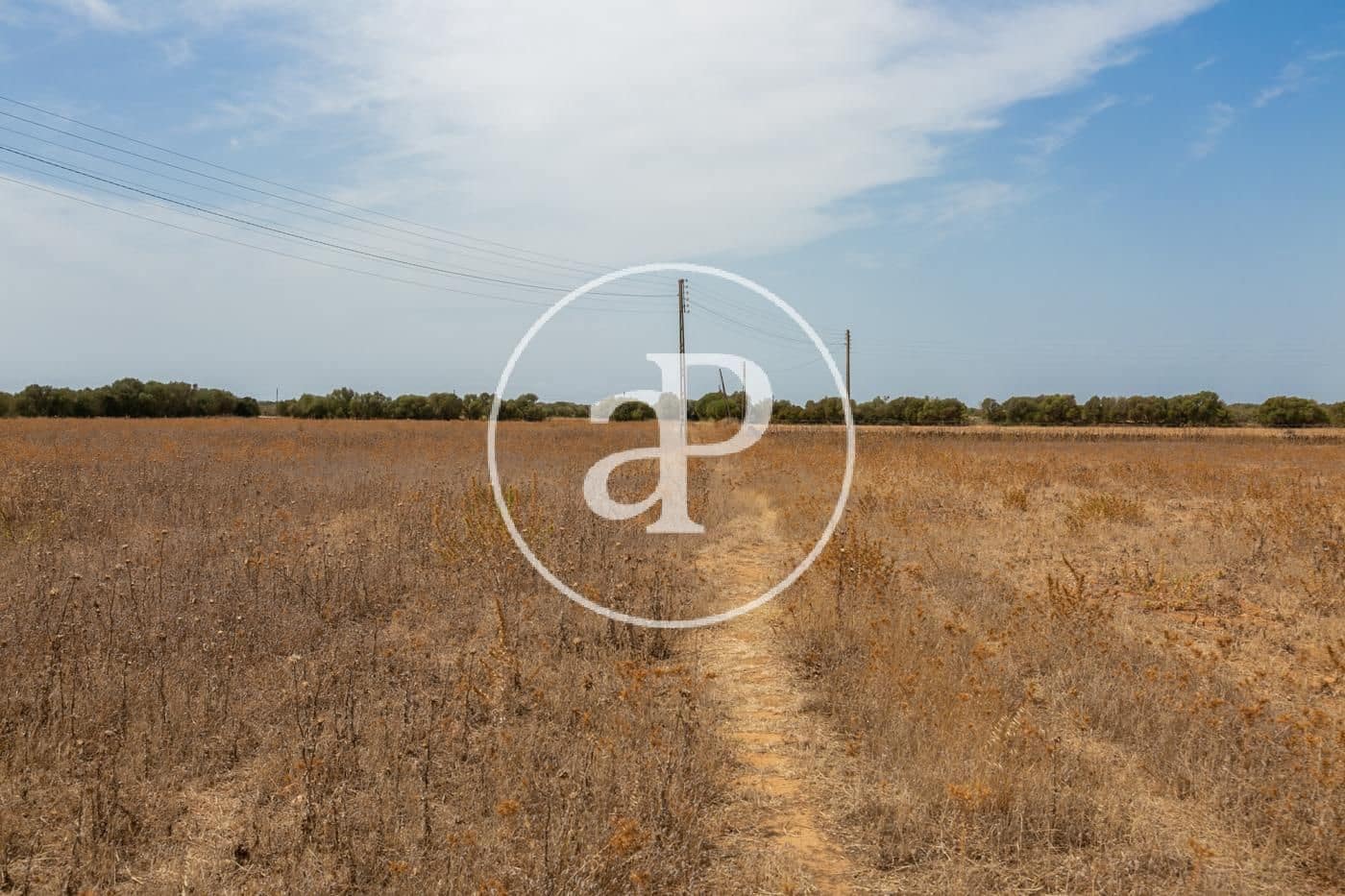 Rakentamaton maa myytävänä paikassa Campos - 725 000 € (Ref: 9355860)