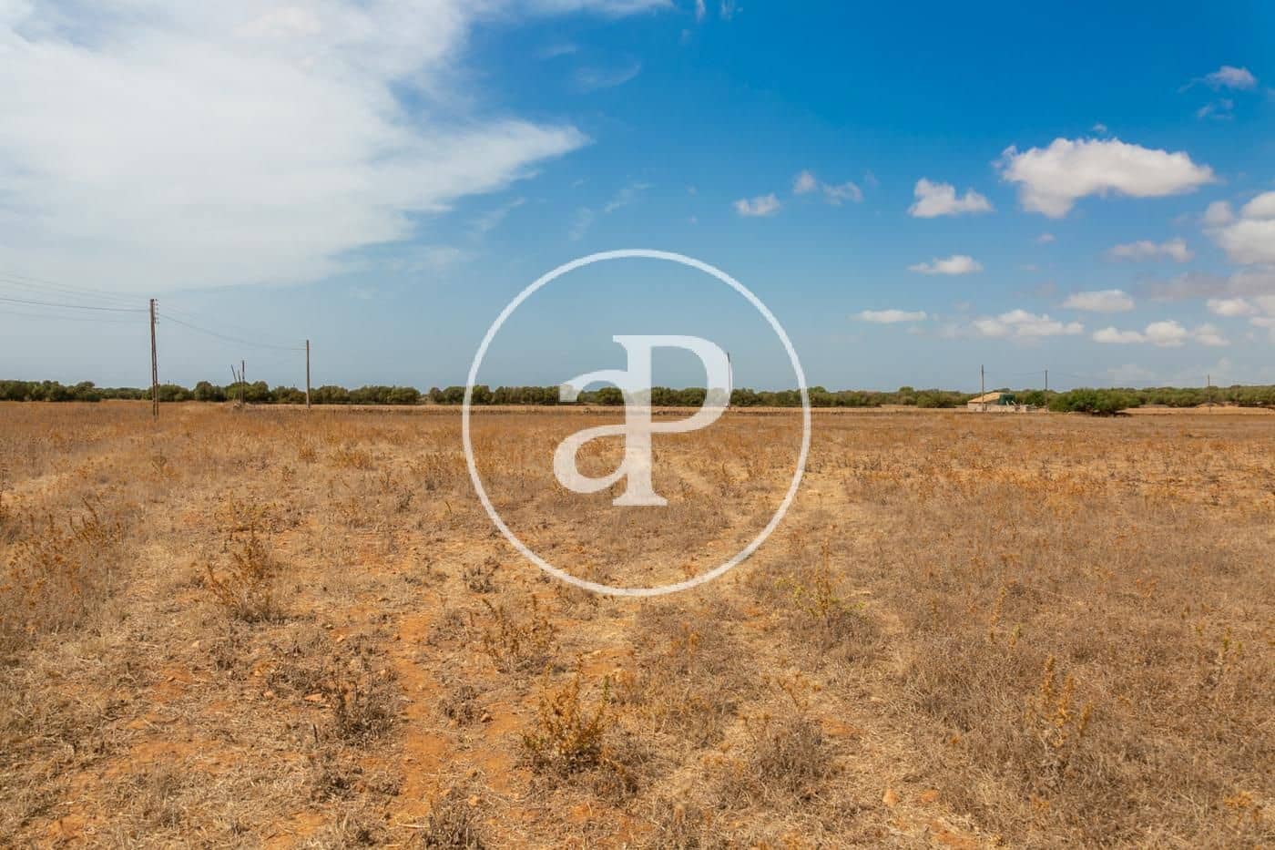 Rakentamaton maa myytävänä paikassa Campos - 725 000 € (Ref: 9355860)