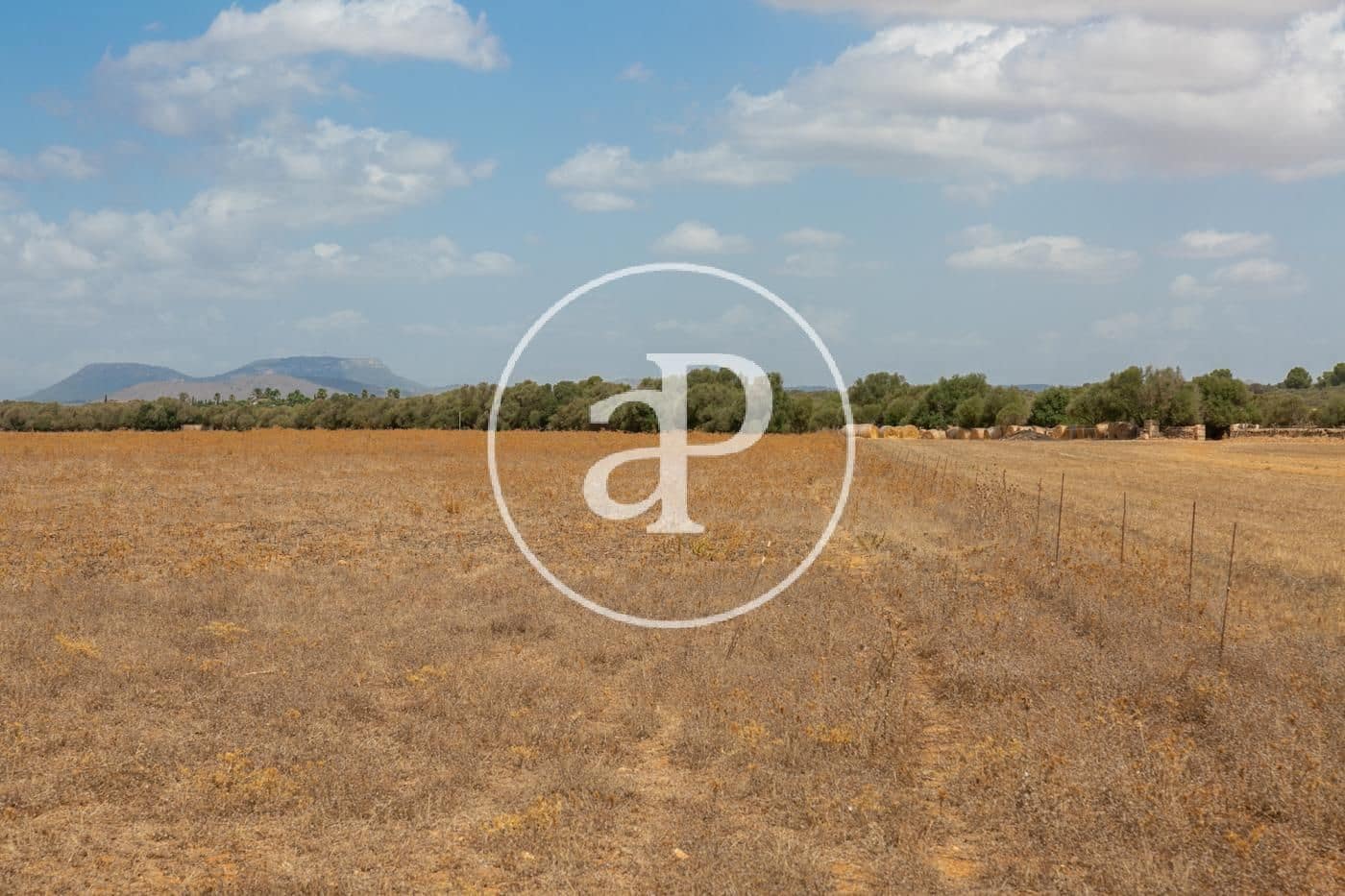 Rakentamaton maa myytävänä paikassa Campos - 725 000 € (Ref: 9355860)