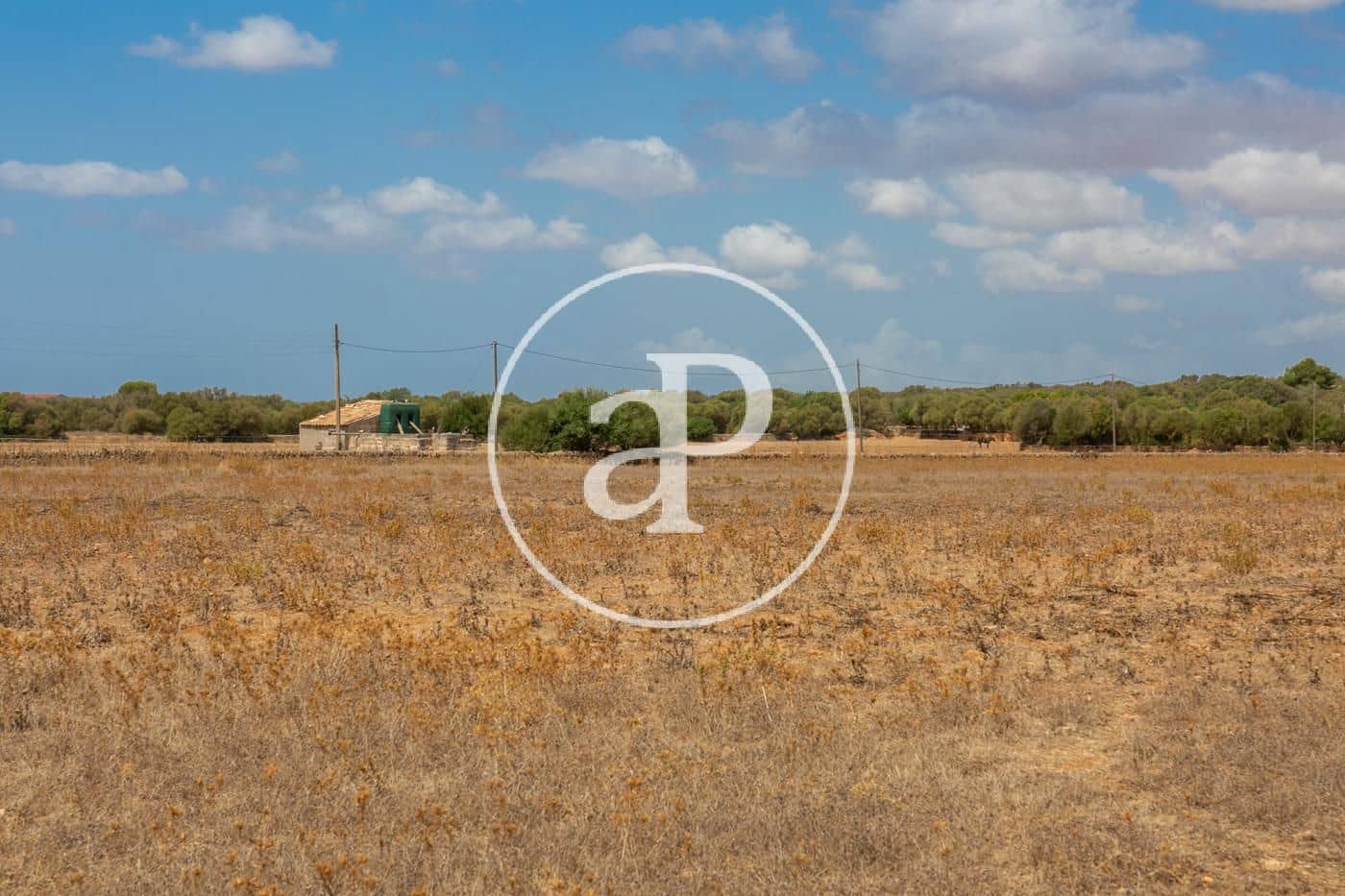 Rakentamaton maa myytävänä paikassa Campos - 725 000 € (Ref: 9355860)