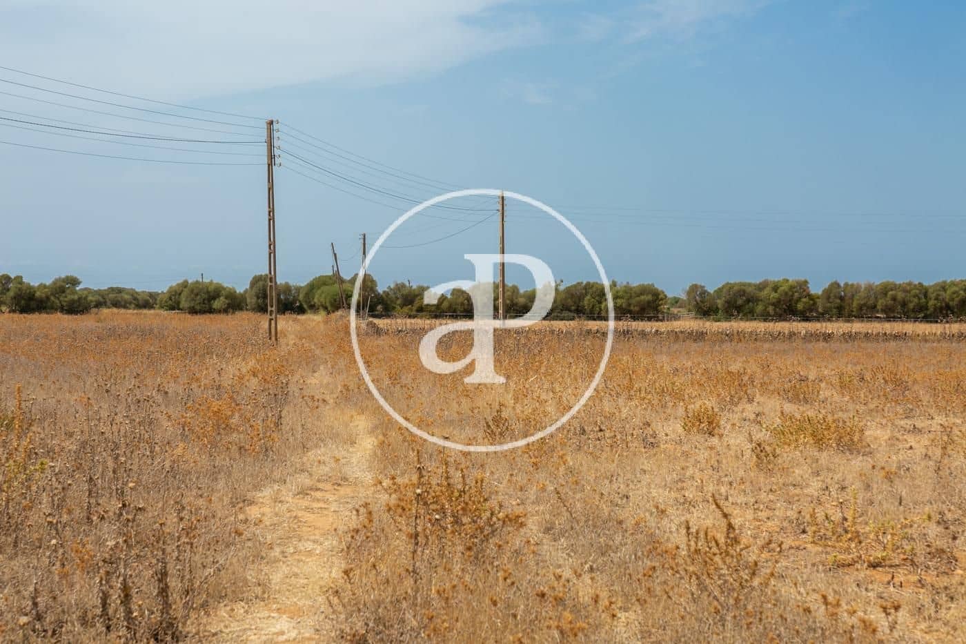 Rakentamaton maa myytävänä paikassa Campos - 725 000 € (Ref: 9355860)