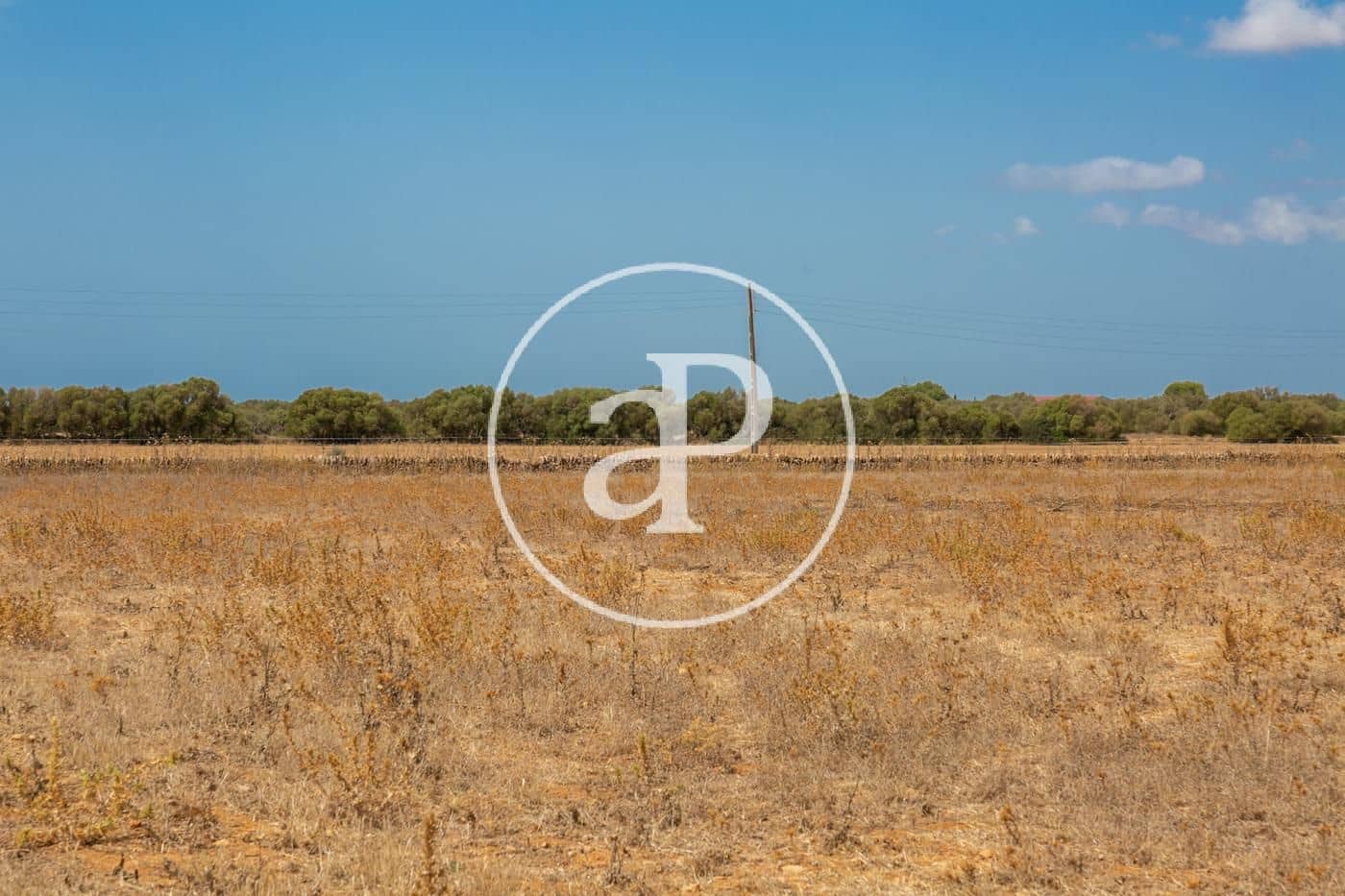 Rakentamaton maa myytävänä paikassa Campos - 725 000 € (Ref: 9355860)