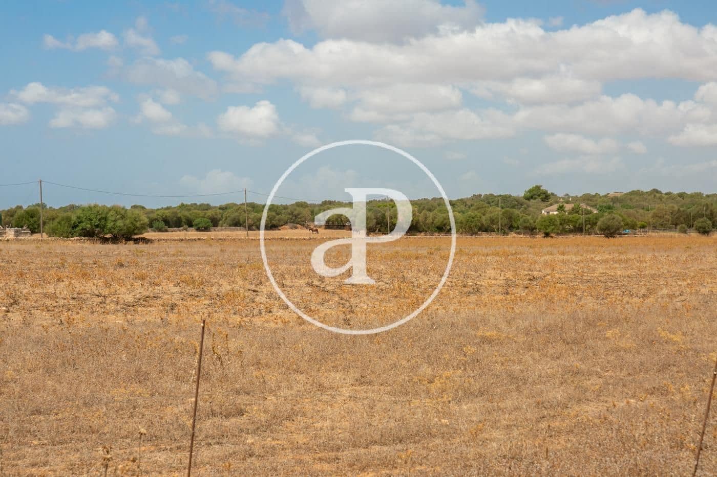 Rakentamaton maa myytävänä paikassa Campos - 725 000 € (Ref: 9355860)
