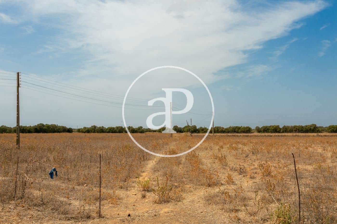 Rakentamaton maa myytävänä paikassa Campos - 725 000 € (Ref: 9355860)