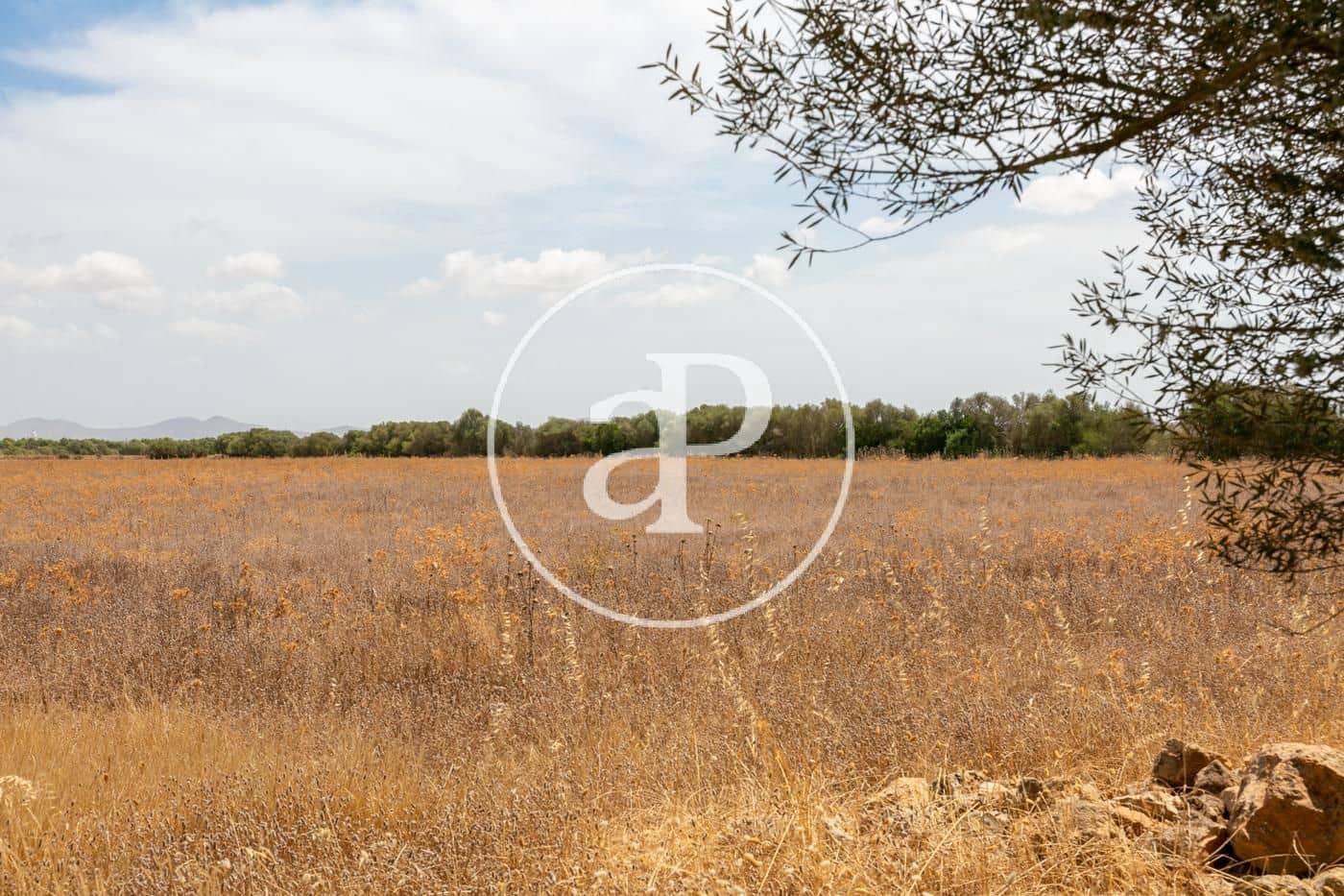 Rakentamaton maa myytävänä paikassa Campos - 725 000 € (Ref: 9355860)