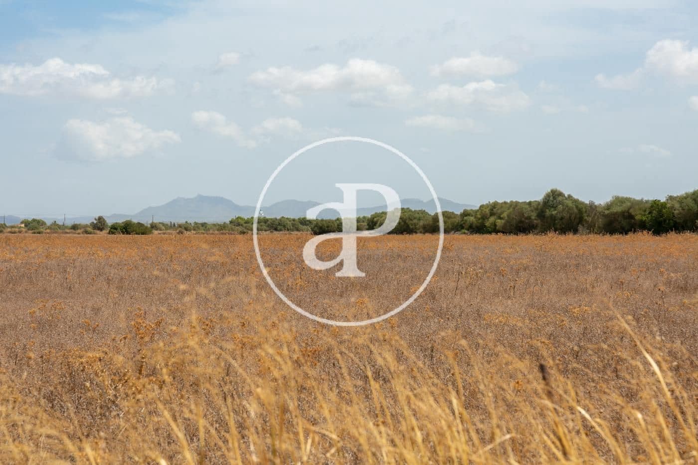 Rakentamaton maa myytävänä paikassa Campos - 725 000 € (Ref: 9355860)