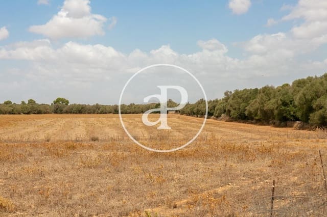 Mark till salu i Campos - 725 000 € (Ref: 9355860)