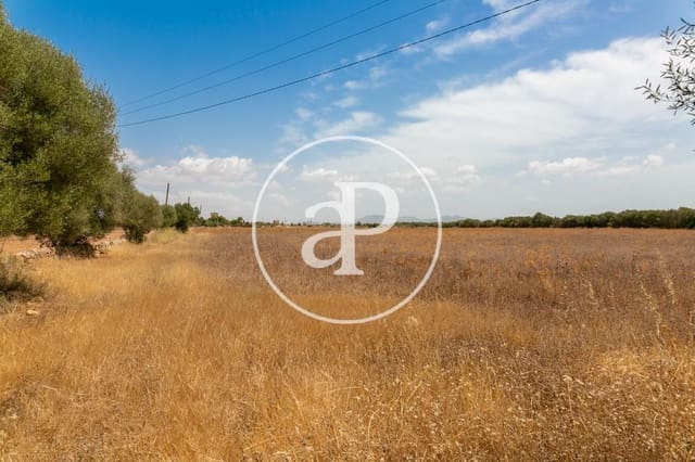 Mark till salu i Campos - 725 000 € (Ref: 9355860)