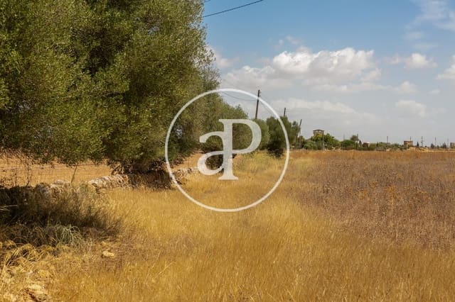 Mark till salu i Campos - 725 000 € (Ref: 9355860)