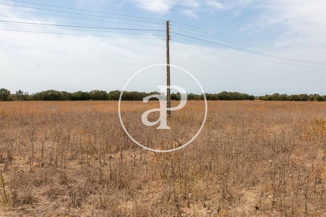 Mark till salu i Campos - 725 000 € (Ref: 9355860)