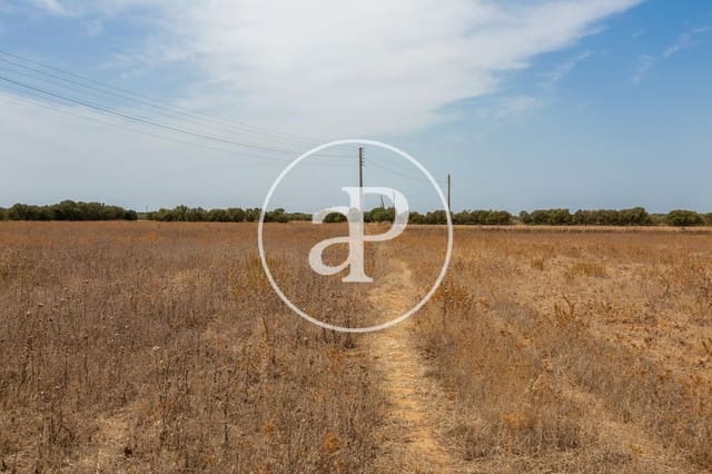 Mark till salu i Campos - 725 000 € (Ref: 9355860)