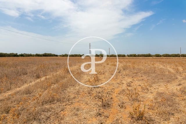 Mark till salu i Campos - 725 000 € (Ref: 9355860)