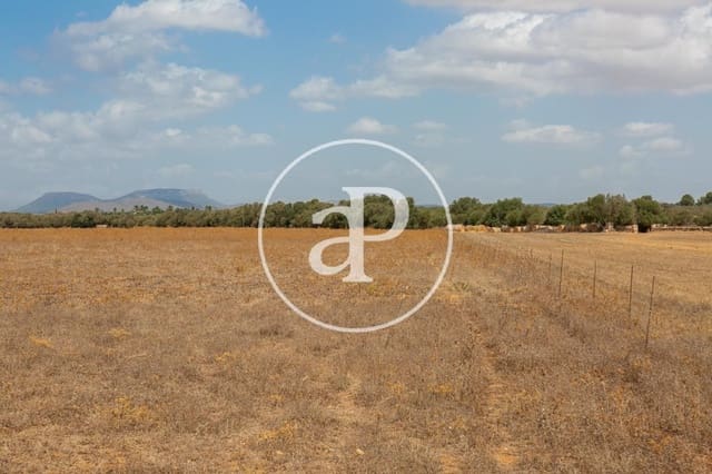 Mark till salu i Campos - 725 000 € (Ref: 9355860)