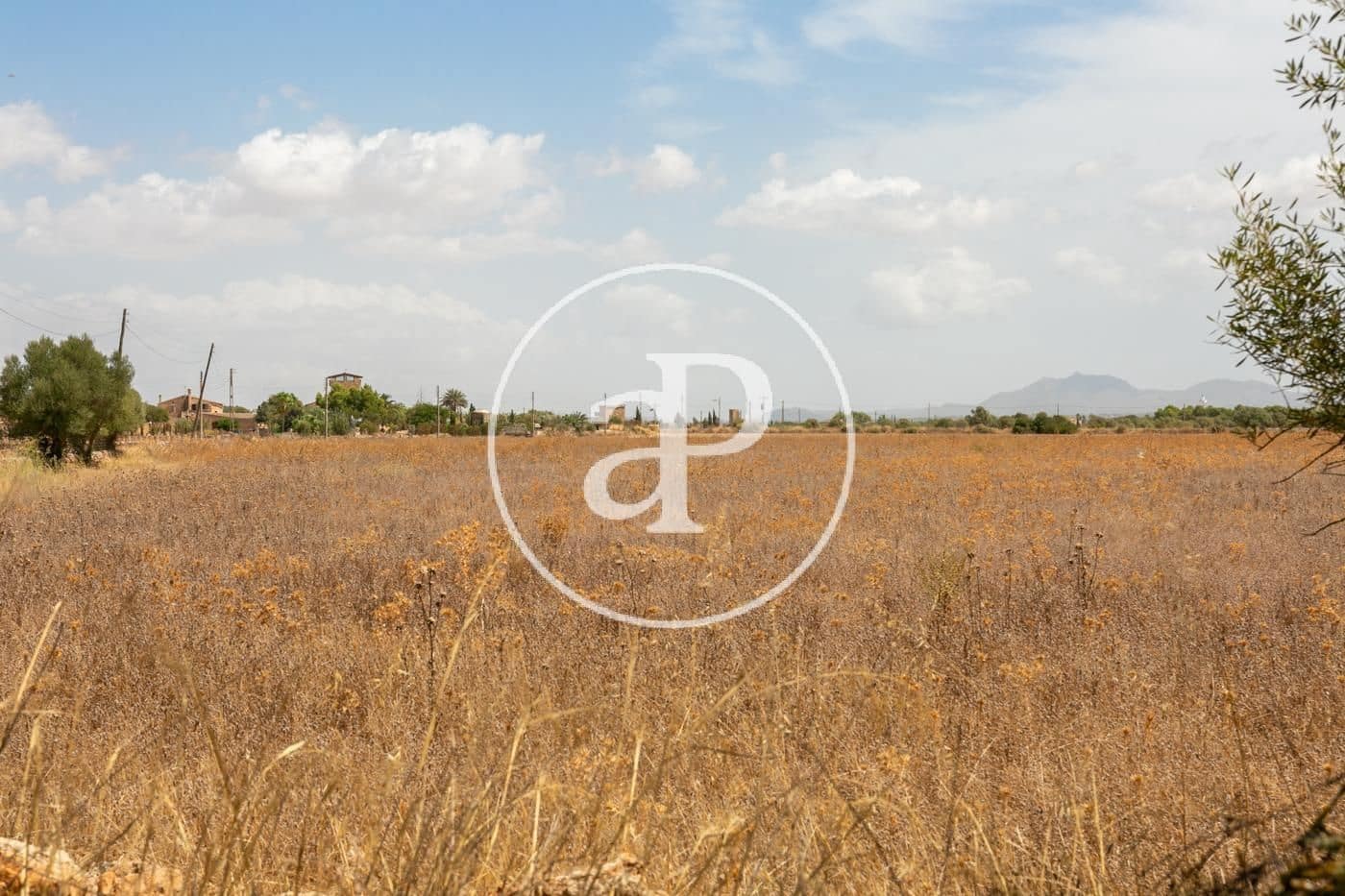 Rakentamaton maa myytävänä paikassa Campos - 725 000 € (Ref: 9355860)