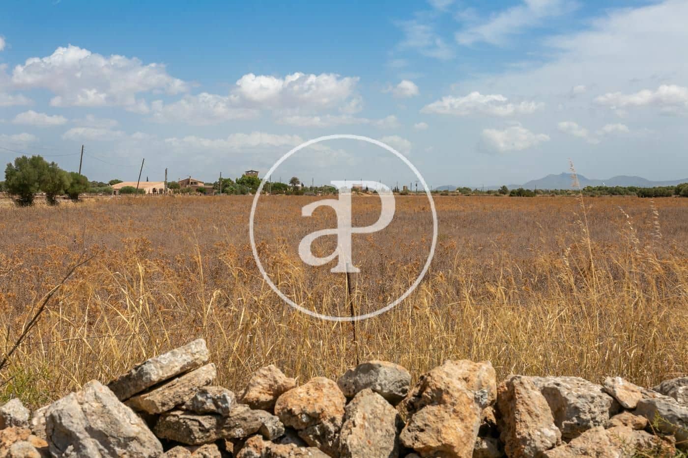 Rakentamaton maa myytävänä paikassa Campos - 725 000 € (Ref: 9355860)