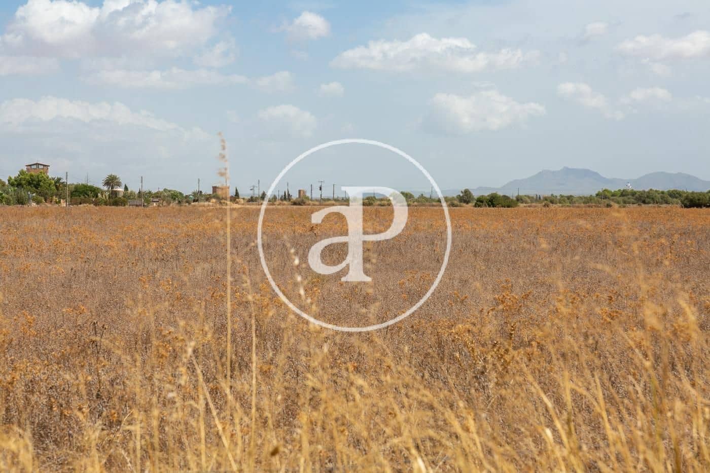 Rakentamaton maa myytävänä paikassa Campos - 725 000 € (Ref: 9355860)