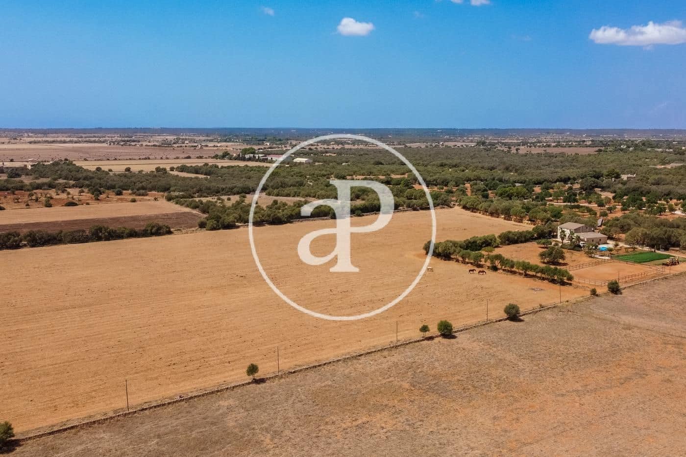 Rakentamaton maa myytävänä paikassa Campos - 725 000 € (Ref: 9355860)