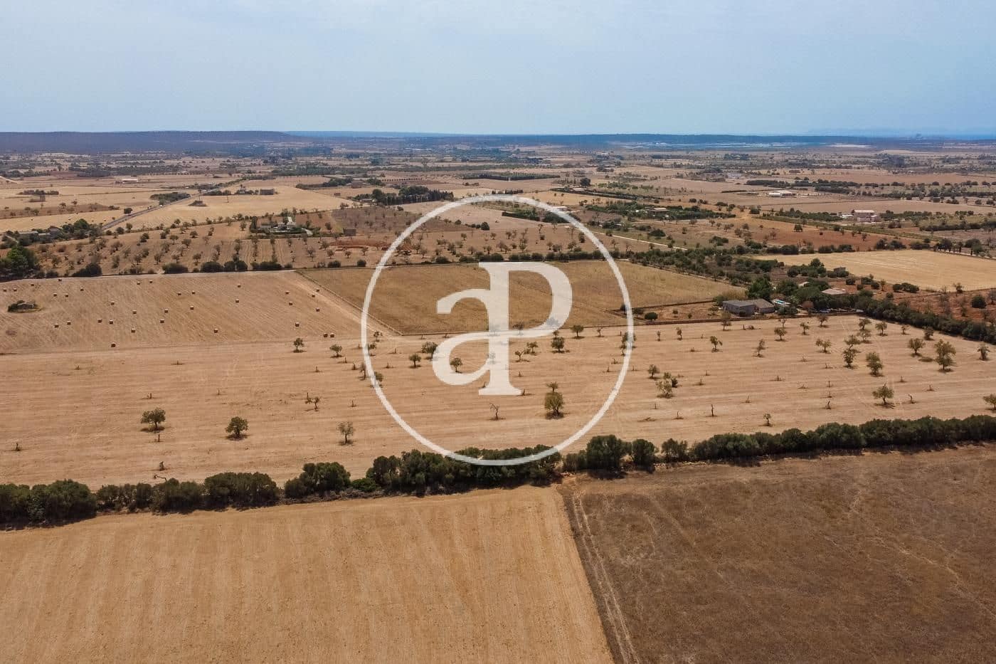 Rakentamaton maa myytävänä paikassa Campos - 725 000 € (Ref: 9355860)