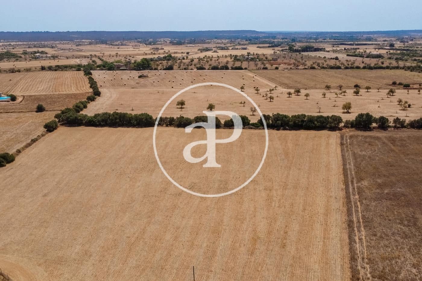 Rakentamaton maa myytävänä paikassa Campos - 725 000 € (Ref: 9355860)