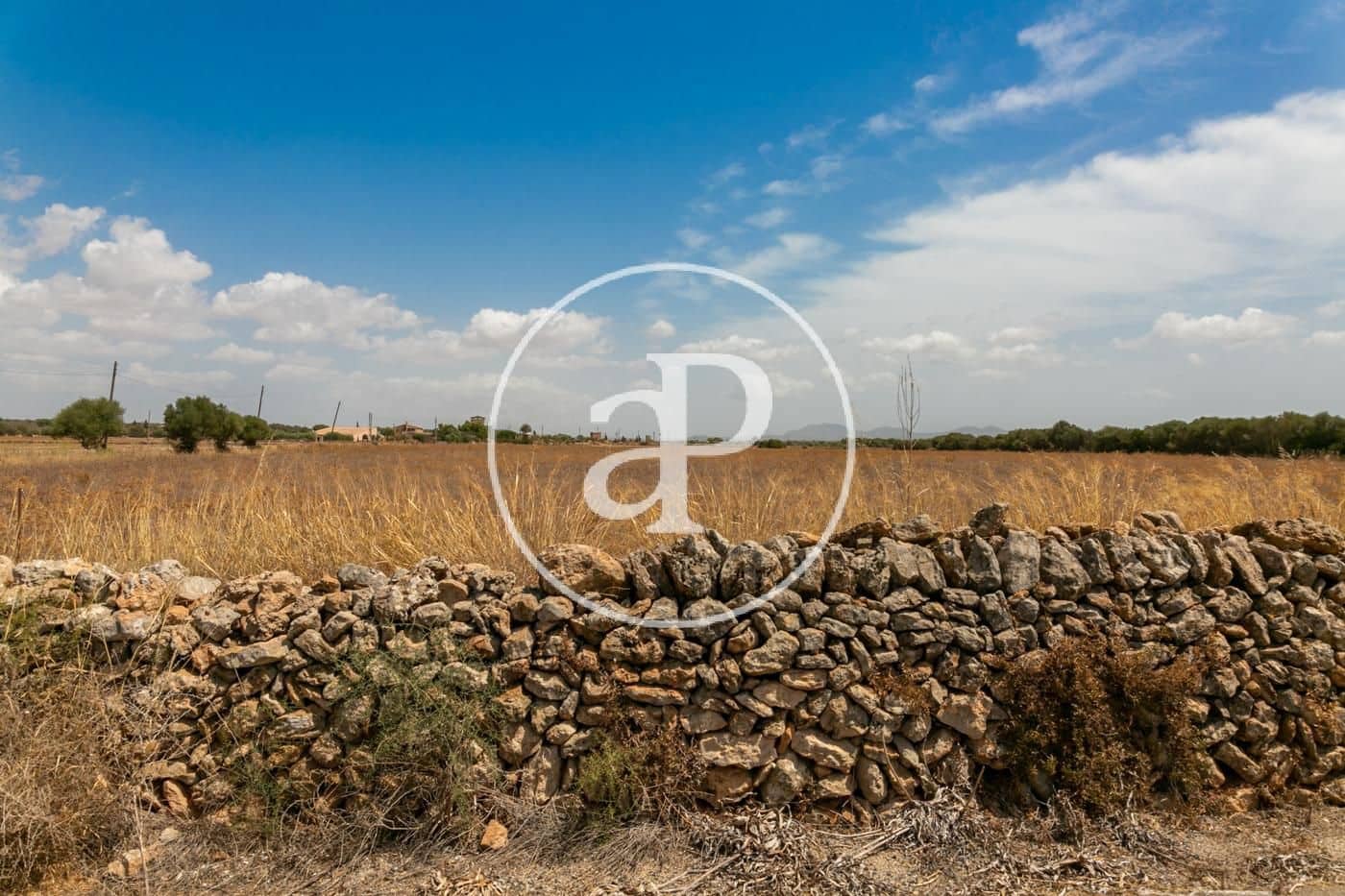 Rakentamaton maa myytävänä paikassa Campos - 725 000 € (Ref: 9355860)