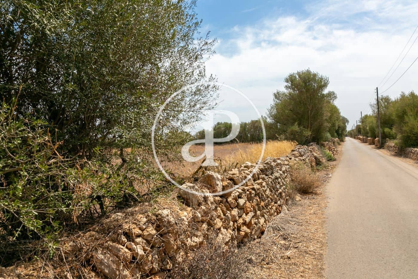 Rakentamaton maa myytävänä paikassa Campos - 725 000 € (Ref: 9355860)