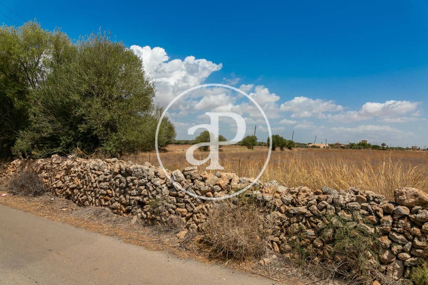 Rakentamaton maa myytävänä paikassa Campos - 725 000 € (Ref: 9355860)