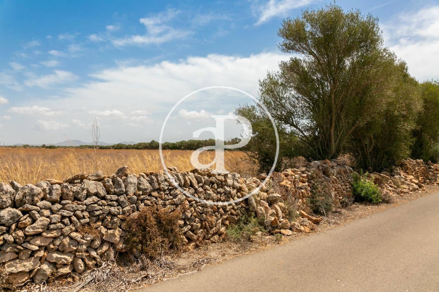 Rakentamaton maa myytävänä paikassa Campos - 725 000 € (Ref: 9355860)