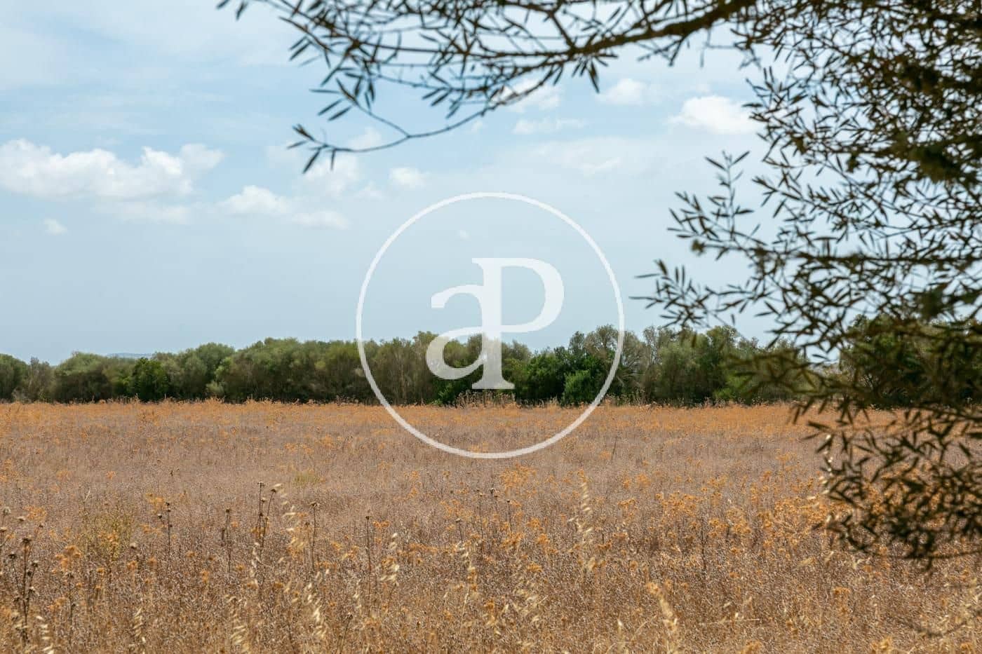 Rakentamaton maa myytävänä paikassa Campos - 725 000 € (Ref: 9355860)