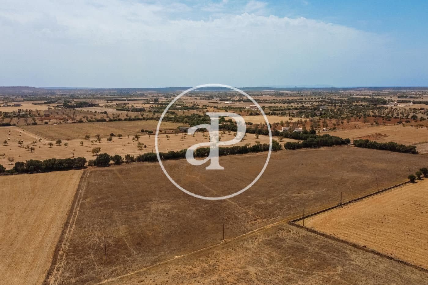 Rakentamaton maa myytävänä paikassa Campos - 725 000 € (Ref: 9355860)