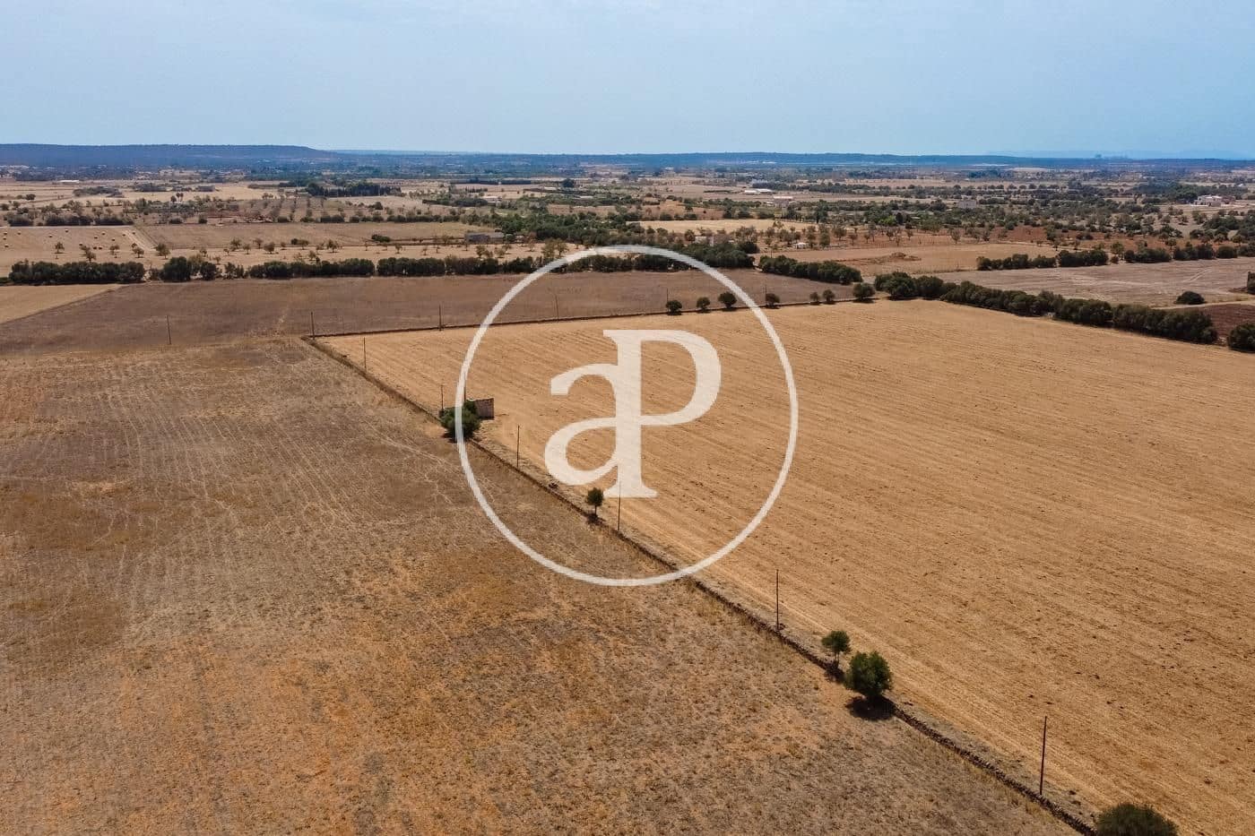 Rakentamaton maa myytävänä paikassa Campos - 725 000 € (Ref: 9355860)