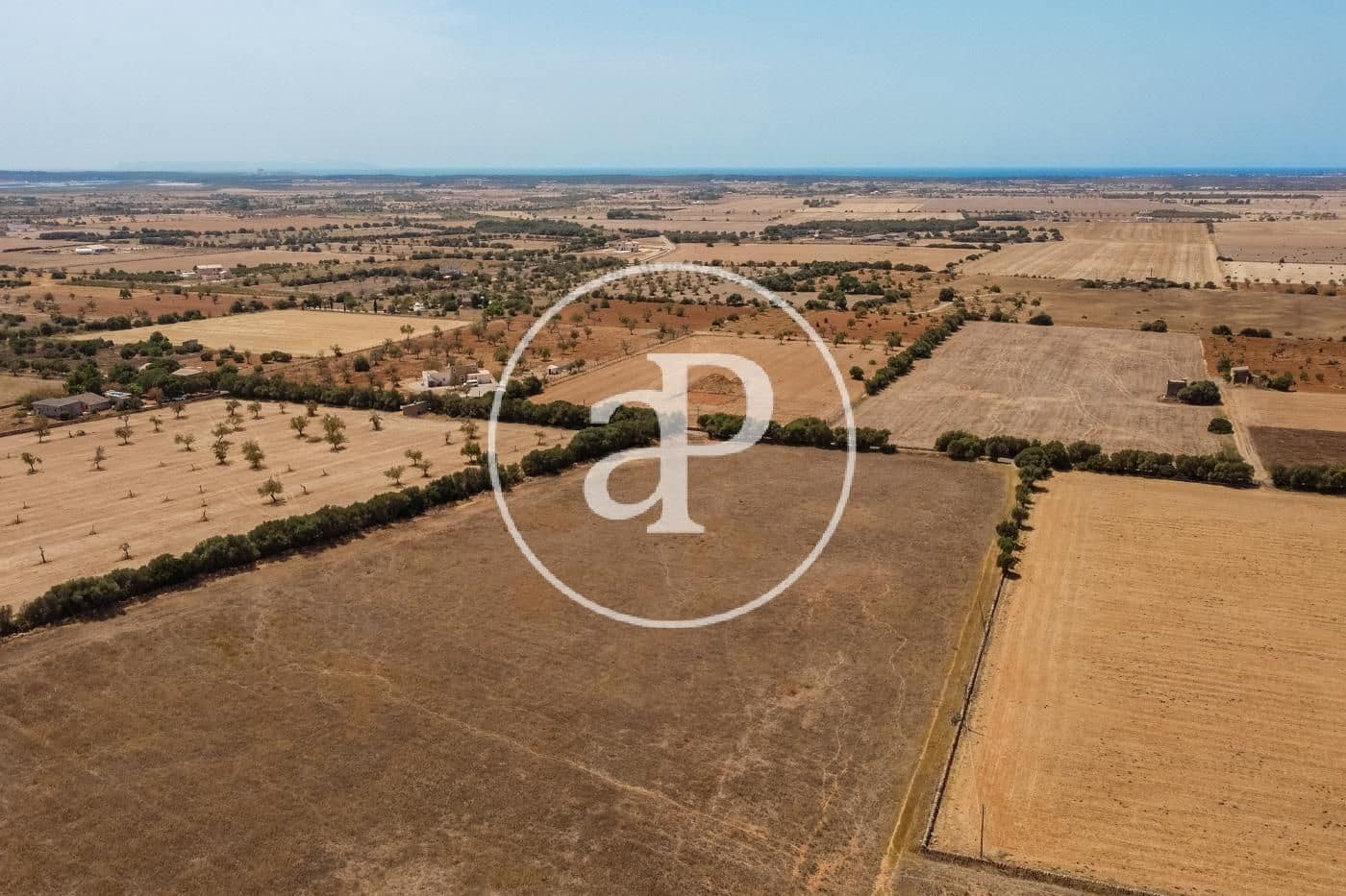 Rakentamaton maa myytävänä paikassa Campos - 725 000 € (Ref: 9355860)