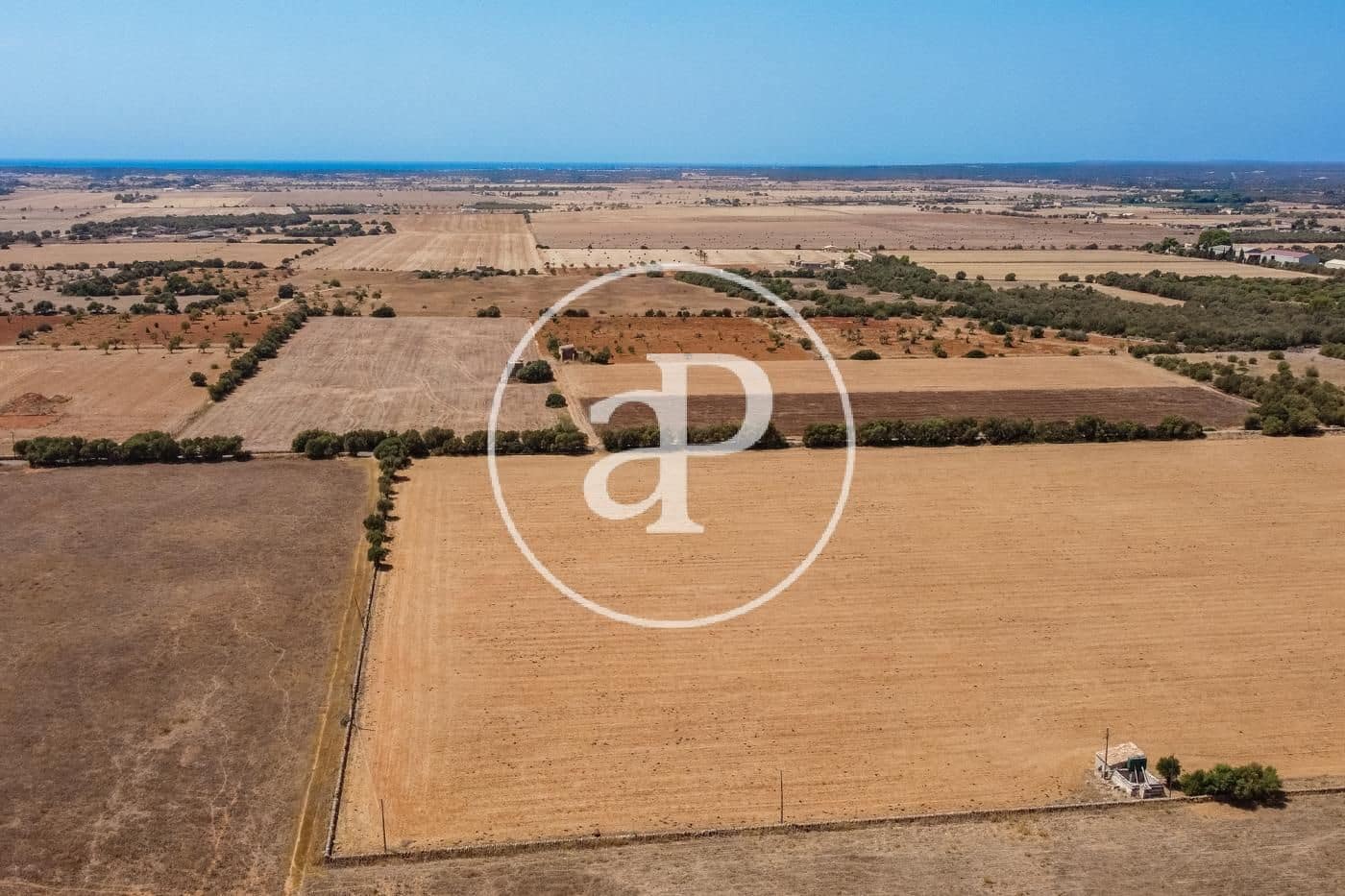 Rakentamaton maa myytävänä paikassa Campos - 725 000 € (Ref: 9355860)