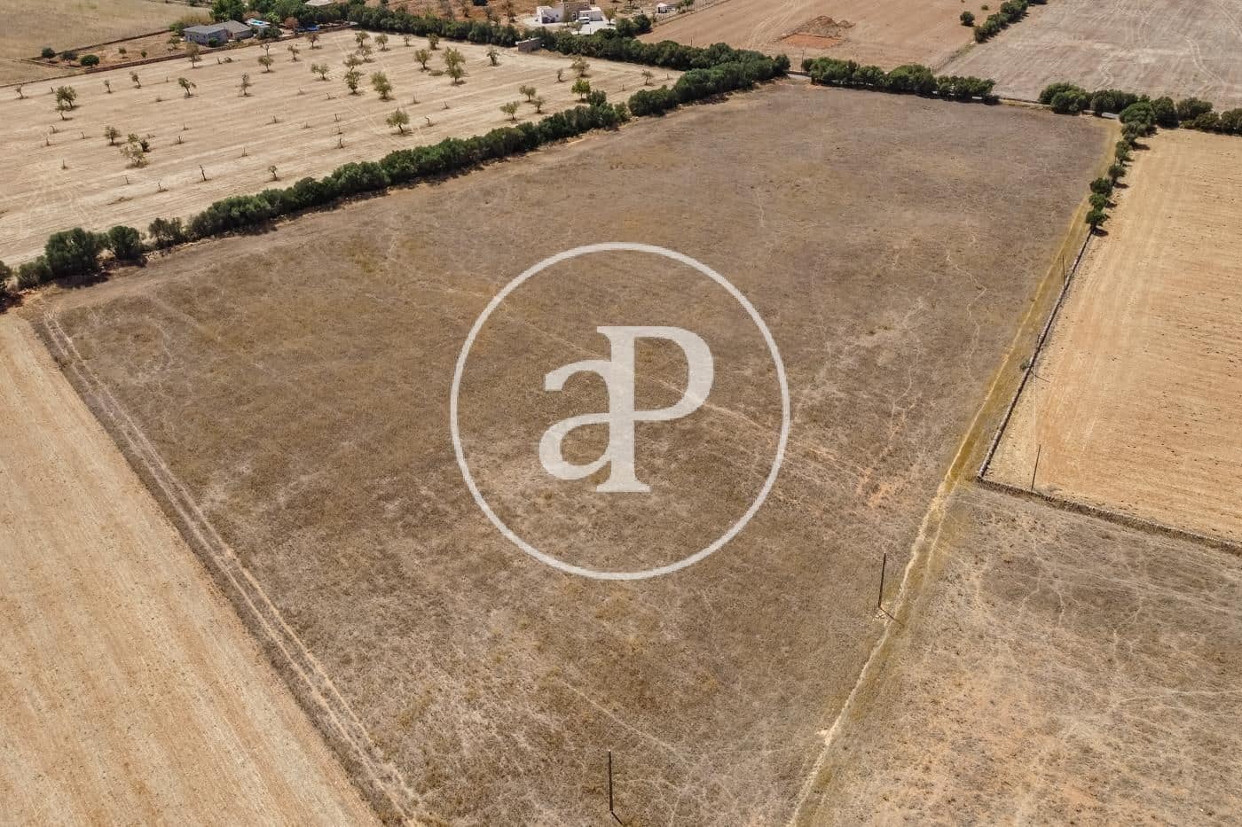 Rakentamaton maa myytävänä paikassa Campos - 725 000 € (Ref: 9355860)