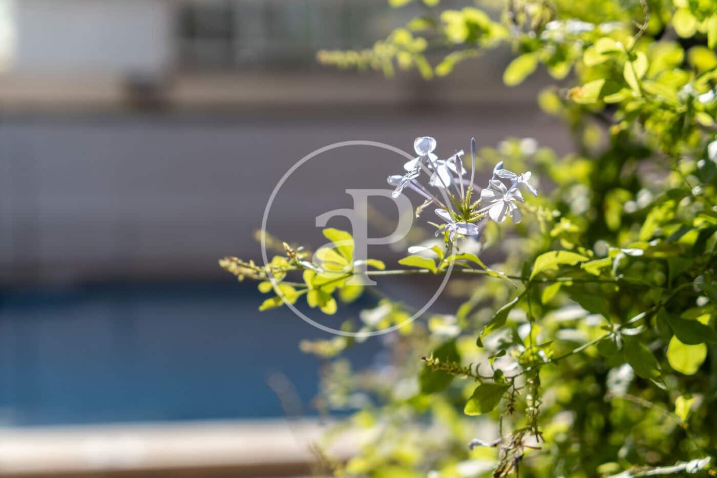 3 soveværelse Lejlighed til salg i Palma de Mallorca med swimmingpool - € 760.000 (Ref: 9372017)