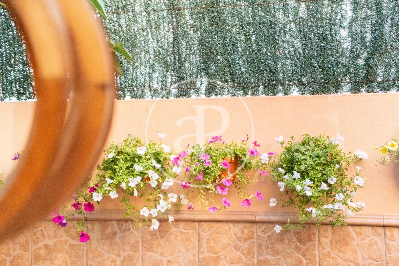 Chalet de 2 habitaciones en Palma de Mallorca en venta - 555.000 € (Ref: 9372018)