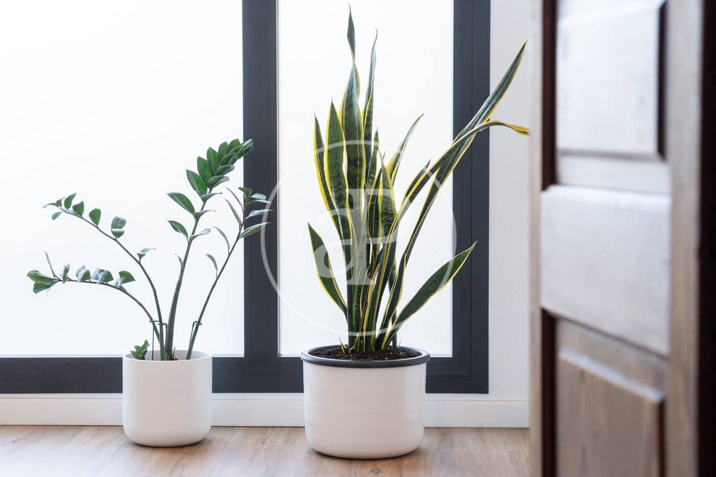 5 quarto Moradia para venda em Soller - 1 425 000 € (Ref: 9390889)