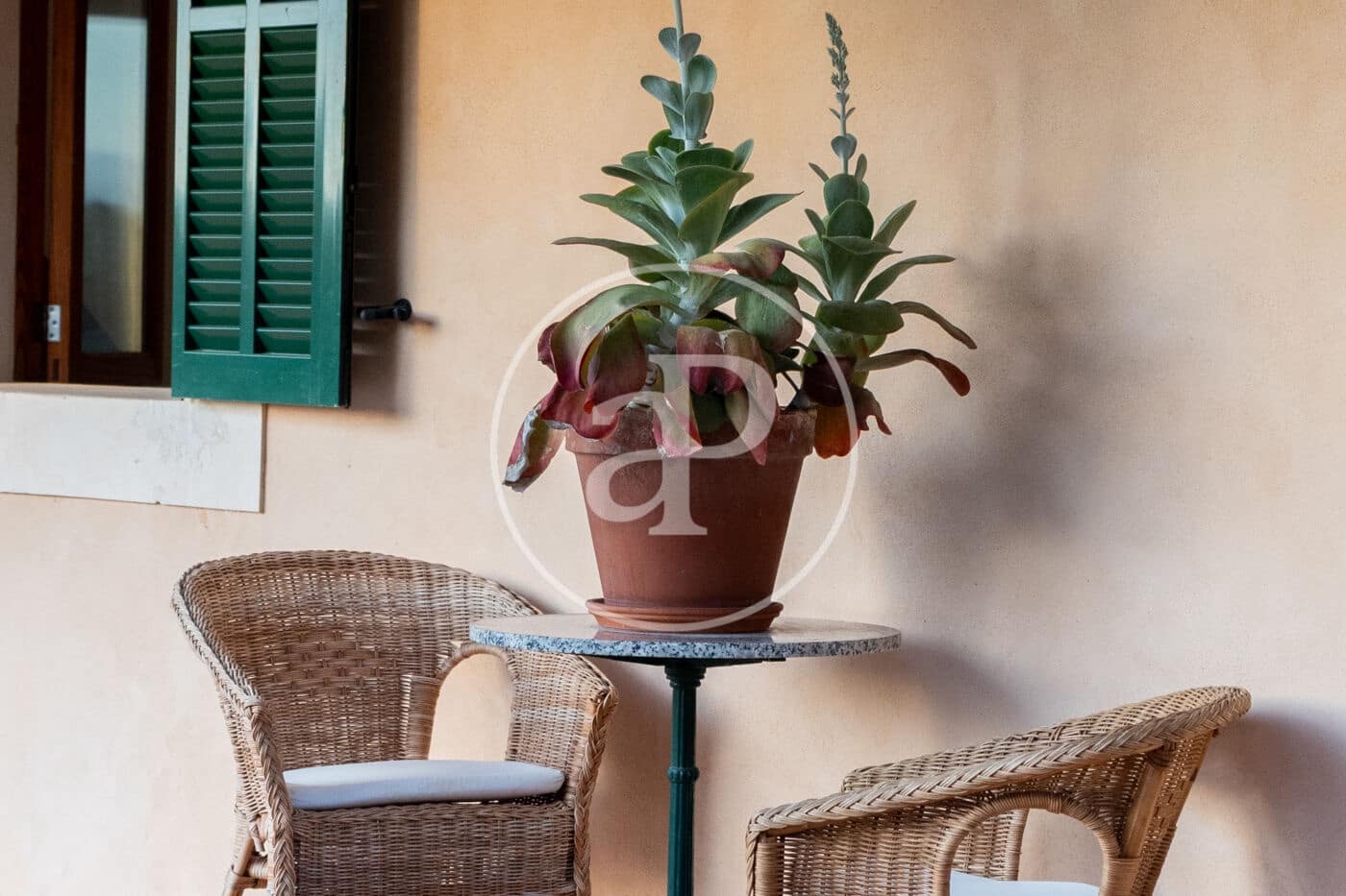 4 soverom Villa til leie i Son Veri Nou med svømmebasseng - € 6 000 (Ref: 9398509)