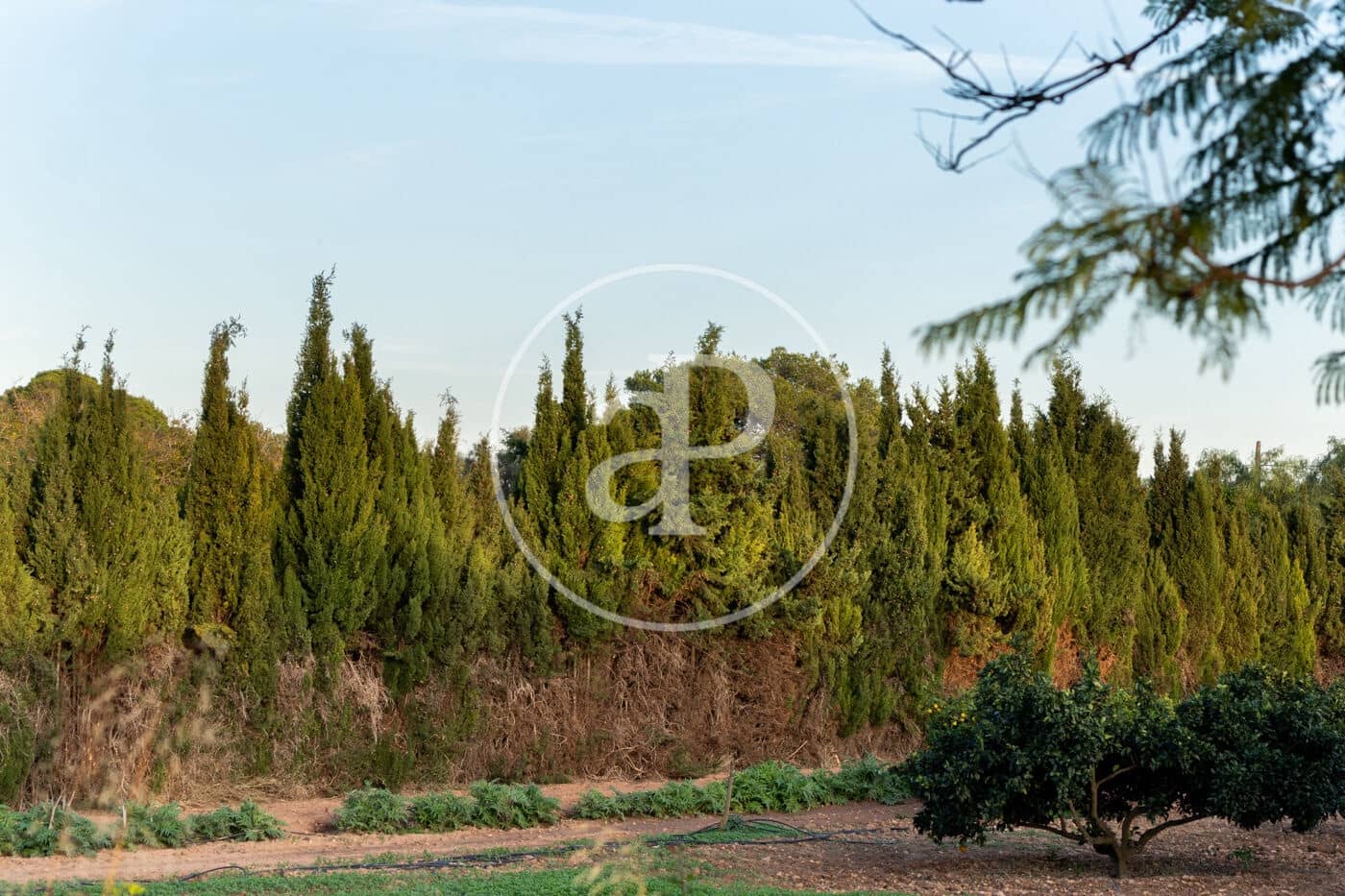 4 soverom Villa til leie i Son Veri Nou med svømmebasseng - € 6 000 (Ref: 9398509)