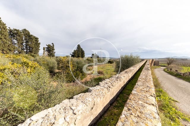 Teren niezagospodarowany na sprzedaż w Manacor - 990 000 € (Ref: 9449204)