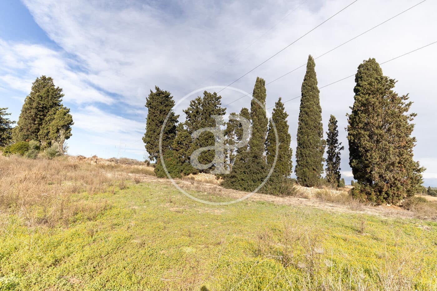 Teren niezagospodarowany na sprzedaż w Manacor - 990 000 € (Ref: 9449204)