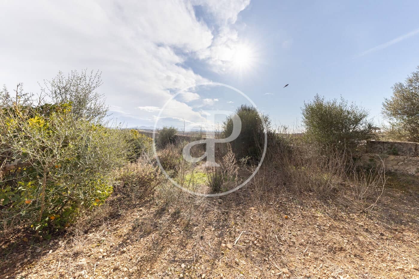 Teren niezagospodarowany na sprzedaż w Manacor - 990 000 € (Ref: 9449204)