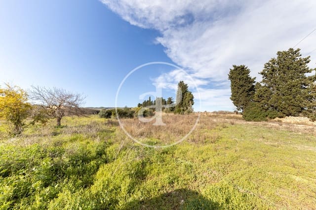 Teren niezagospodarowany na sprzedaż w Manacor - 990 000 € (Ref: 9449204)