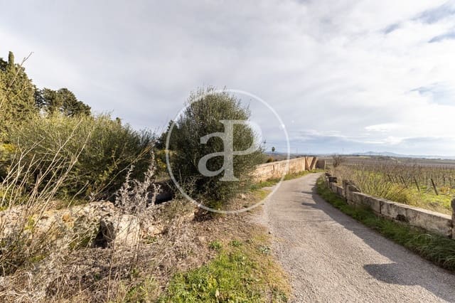 Teren niezagospodarowany na sprzedaż w Manacor - 990 000 € (Ref: 9449204)