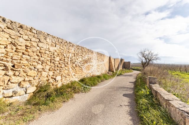 Teren niezagospodarowany na sprzedaż w Manacor - 990 000 € (Ref: 9449204)