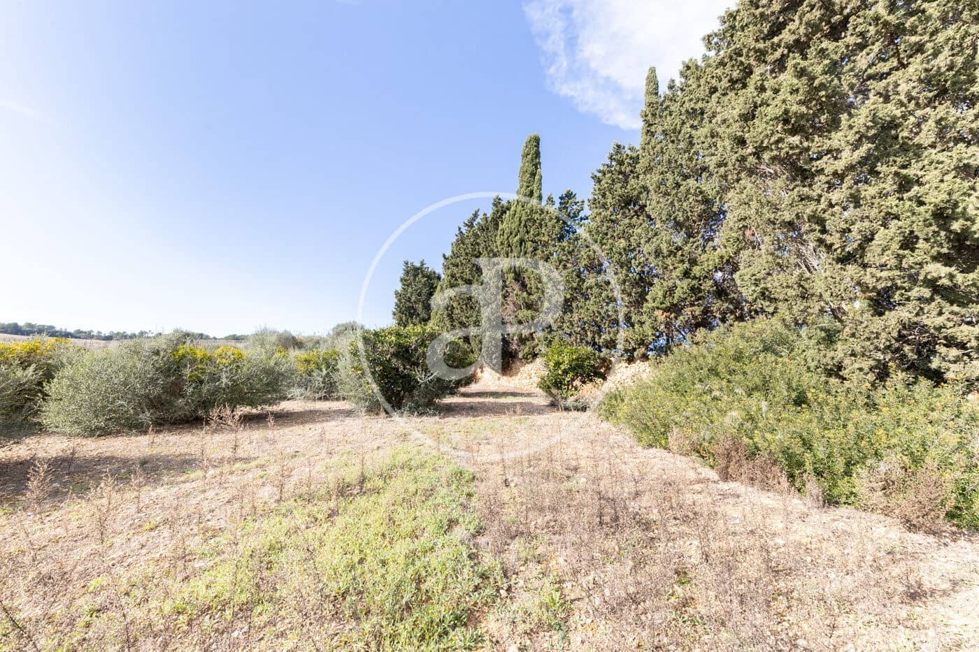 Teren niezagospodarowany na sprzedaż w Manacor - 990 000 € (Ref: 9449204)