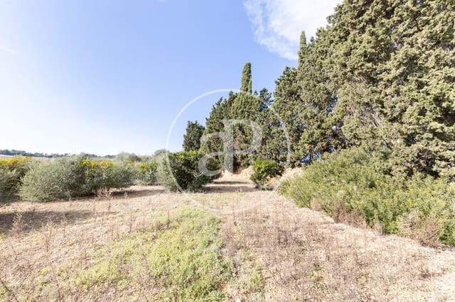 Teren niezagospodarowany na sprzedaż w Manacor - 990 000 € (Ref: 9449204)