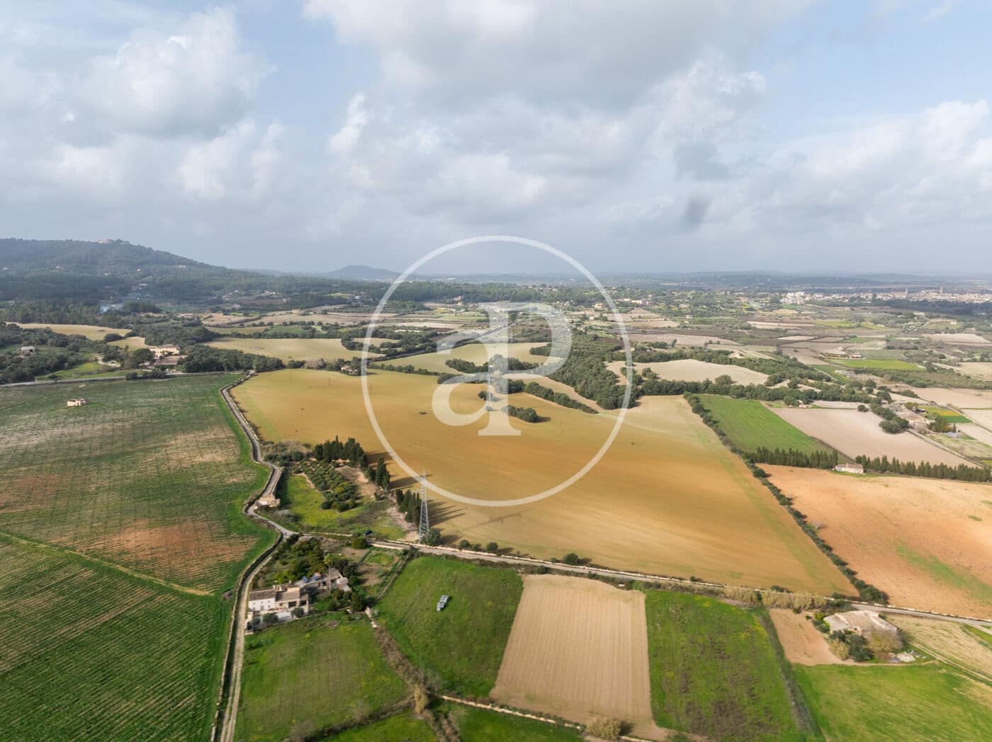 Undeveloped Land for sale in Manacor - € 990,000 (Ref: 9449204)