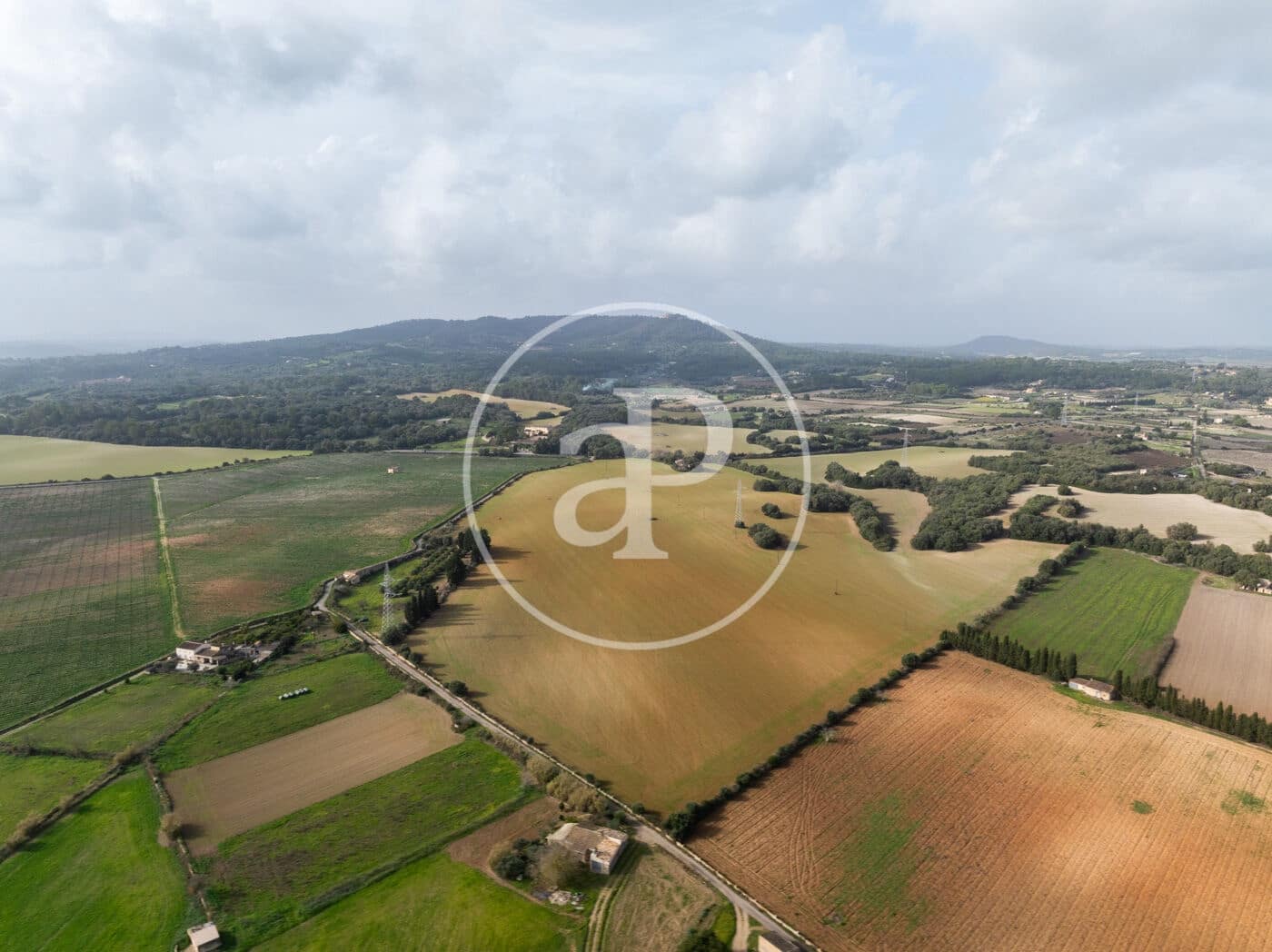 Undeveloped Land for sale in Manacor - € 990,000 (Ref: 9449204)